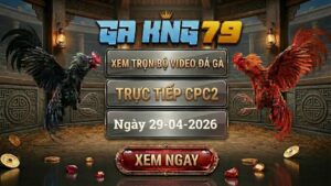 Xem Full Clip Đá Gà Trực Tiếp CPC2 Ngày 29/04/2026