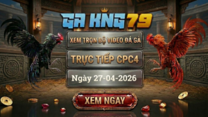 Xem Full Clip Đá Gà Trực Tiếp CPC4 Ngày 27/04/2026