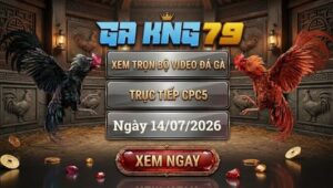 Xem Full Video Đá Gà CPC5 Ngày 14/07/2026 Tại GAKING79